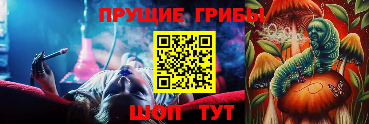 купить закладку  Псилоцибиновые грибы Psilocybe  Галлюциногенные грибы MAGIC MUSHROOMS  Вход с VPN  Кисловодск 